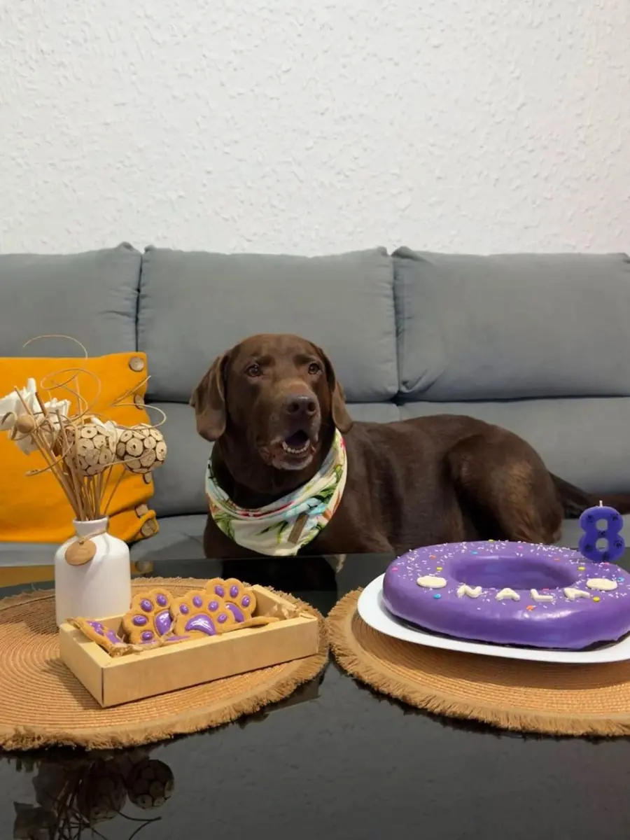 Combo con torta y snacks
