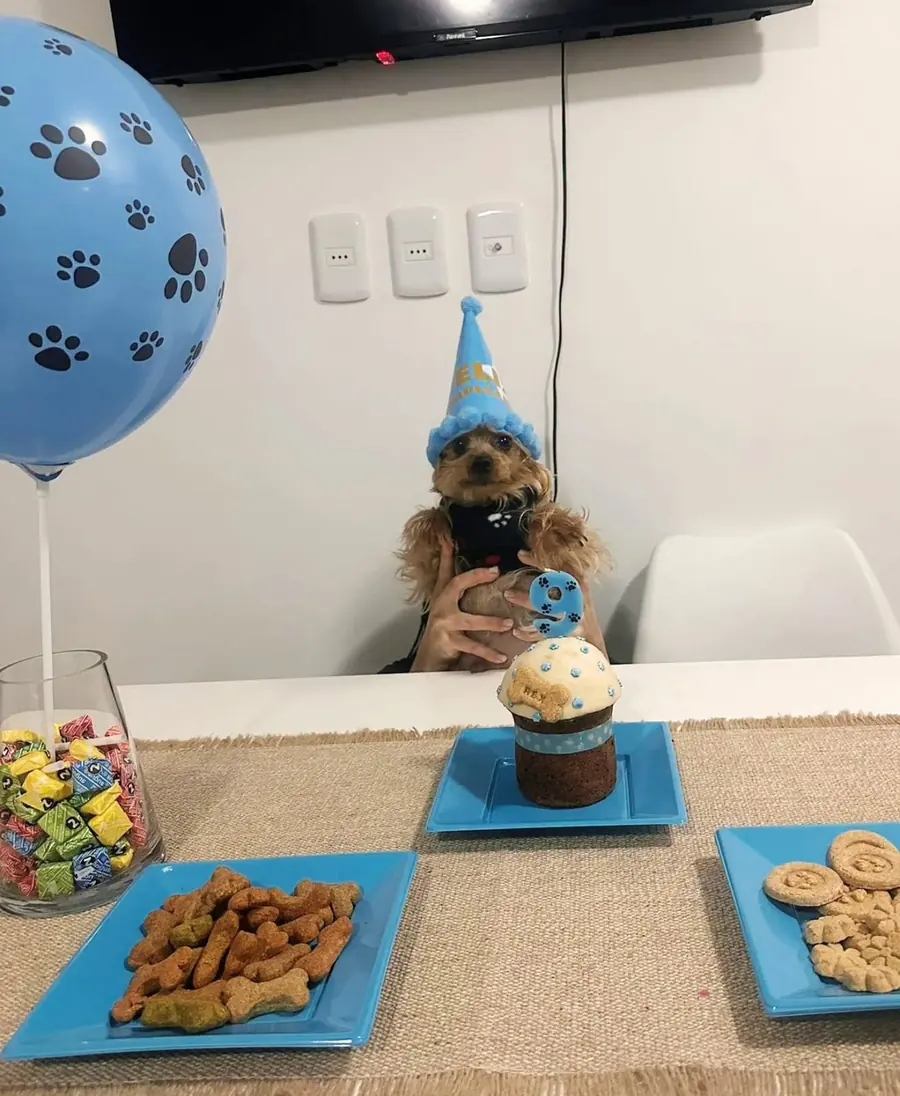 Perro con gorro de fiesta