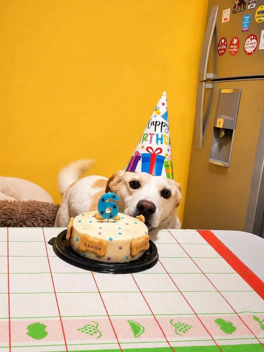 Torta con snacks en forma de hueso