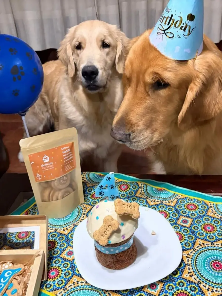 Galletas en forma de hueso